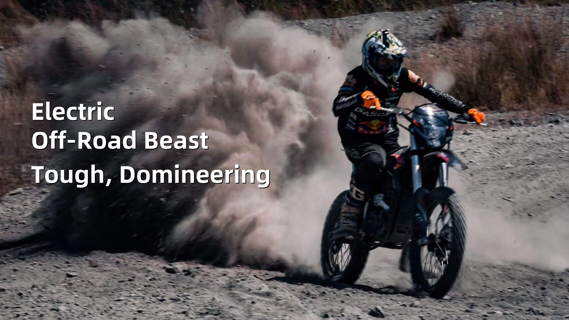 Neues leistungsstarkes elektrisches Off-Road-Motorrad: der König der Offroad-Aufregung und des Abenteuers